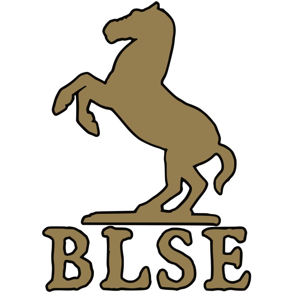 封面 for BLSE启动器[支持1.2.11-1.0.0]